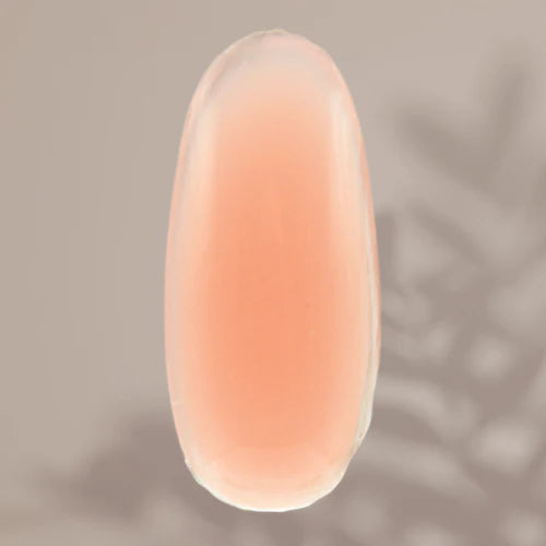 Polygel Startsett